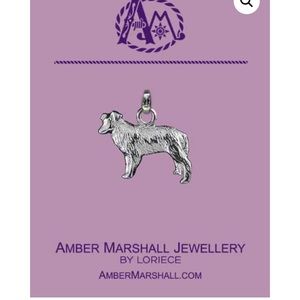 Amber Marshall Charm TV show Heartland